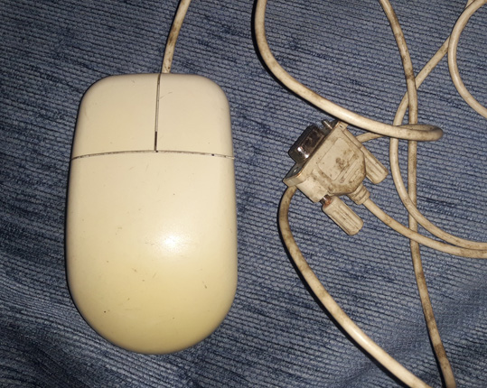 mouse.jpg