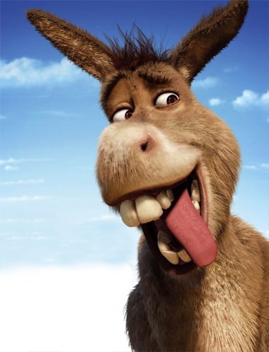 donkey_4.jpg